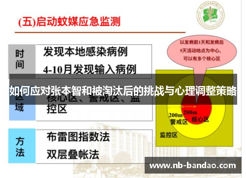 如何应对张本智和被淘汰后的挑战与心理调整策略